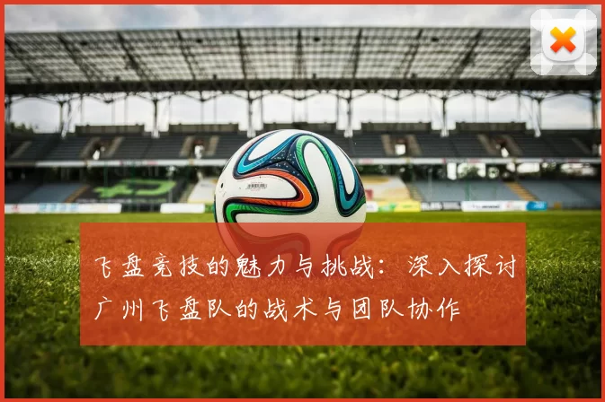 飞盘竞技的魅力与挑战：深入探讨广州飞盘队的战术与团队协作