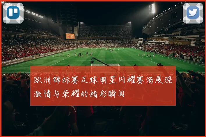 欧洲锦标赛足球明星闪耀赛场展现激情与荣耀的精彩瞬间