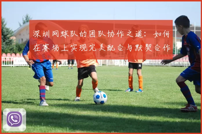 深圳网球队的团队协作之道：如何在赛场上实现完美配合与默契合作