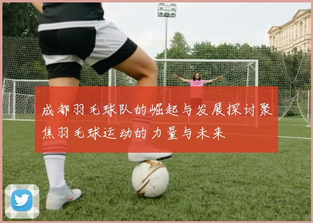 成都羽毛球队的崛起与发展探讨聚焦羽毛球运动的力量与未来