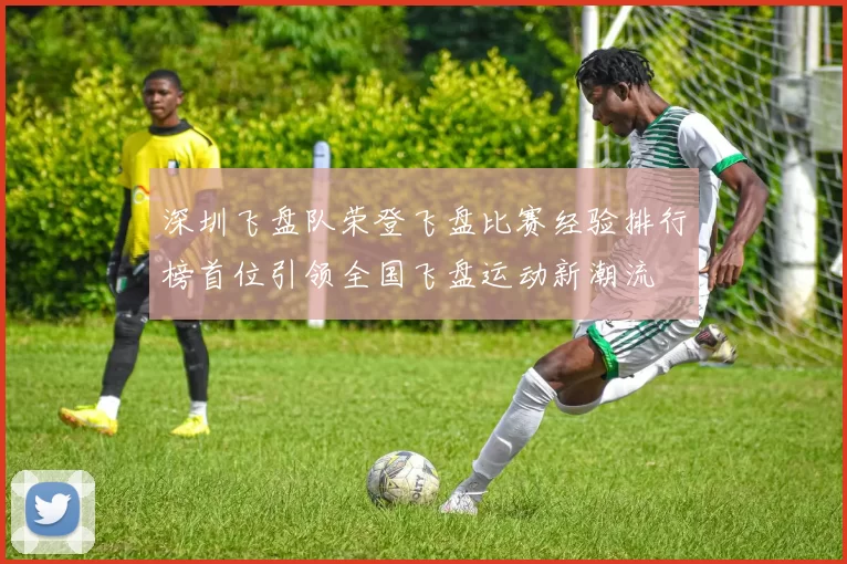 深圳飞盘队荣登飞盘比赛经验排行榜首位引领全国飞盘运动新潮流