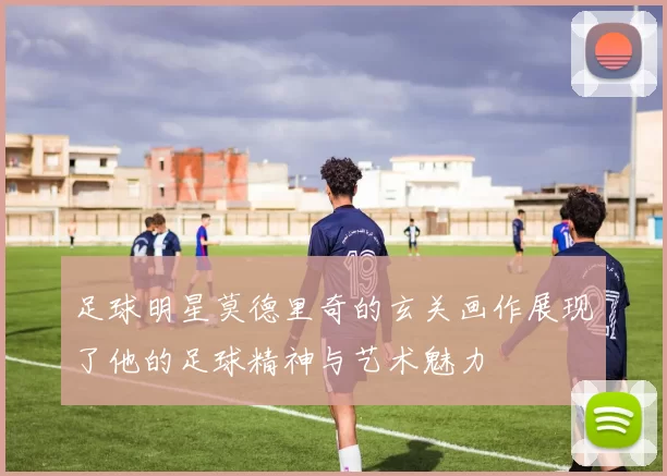 足球明星莫德里奇的玄关画作展现了他的足球精神与艺术魅力